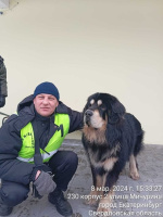 Доброго времени суток – Фото 1